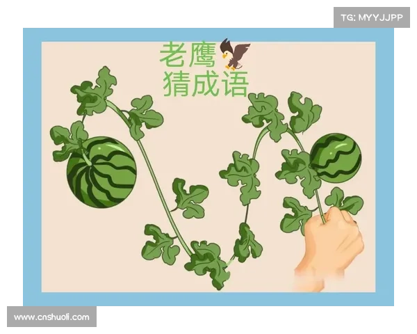 掌握猜成语技巧与策略轻松提高答题准确率的实用攻略