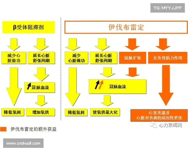 全面提升战力的高效养成策略与实用技巧指南助你快速突破极限